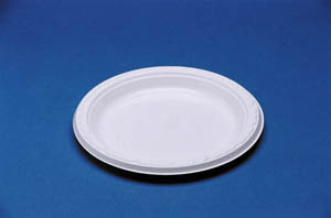 PLATES 7" WHITE NON-LAMINATED FOAM 1000 PER CASE