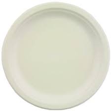 PLATES 6&quot; ROYAL CHINET VACATE
1000 PER CASE