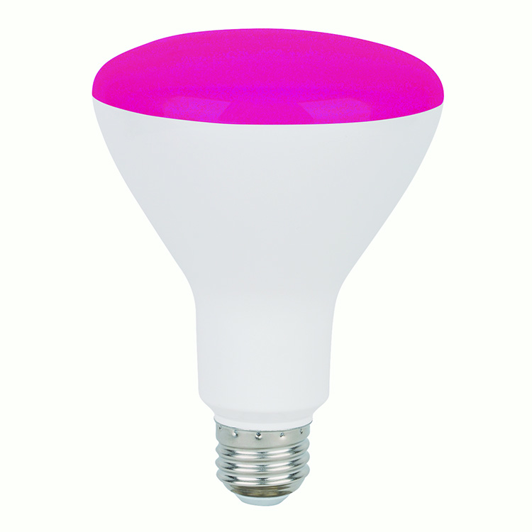 BULB LED PINK BR30FL8/PNK/LED 80988 LED BR30 8W PINK
