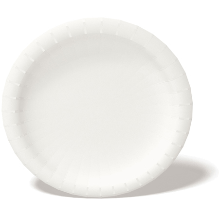 PLATES 9" PAPER MEDIUM WEIGHT  500 PER CASE